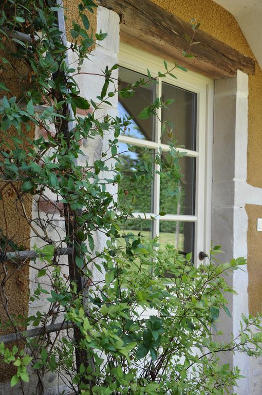 B&B La Cerisaie Francheleins Номер фото